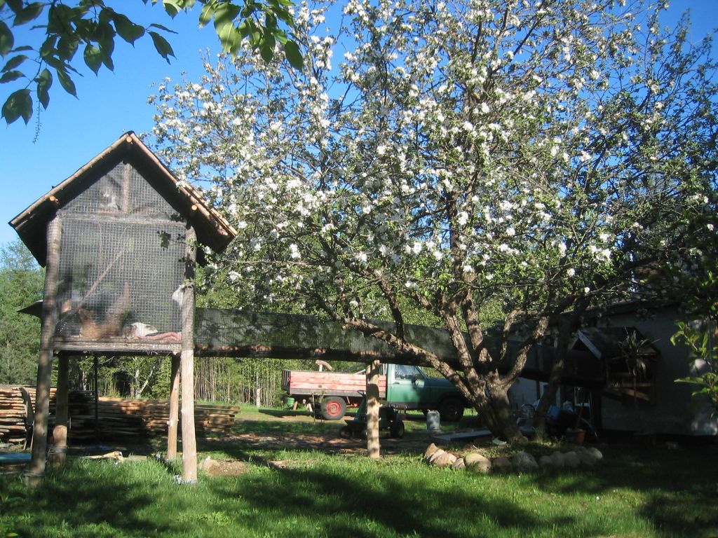 Outdoor cat pen in spring